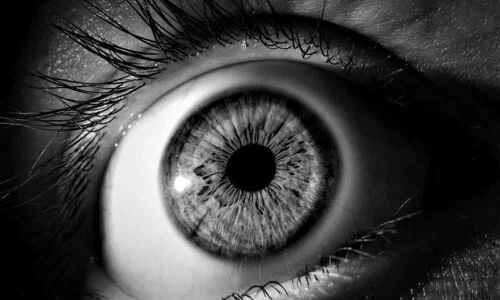 Nature has cure for blindness due to diabetes