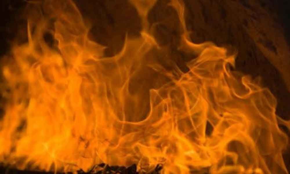 Major fire engulfs oil factory in Gujarat