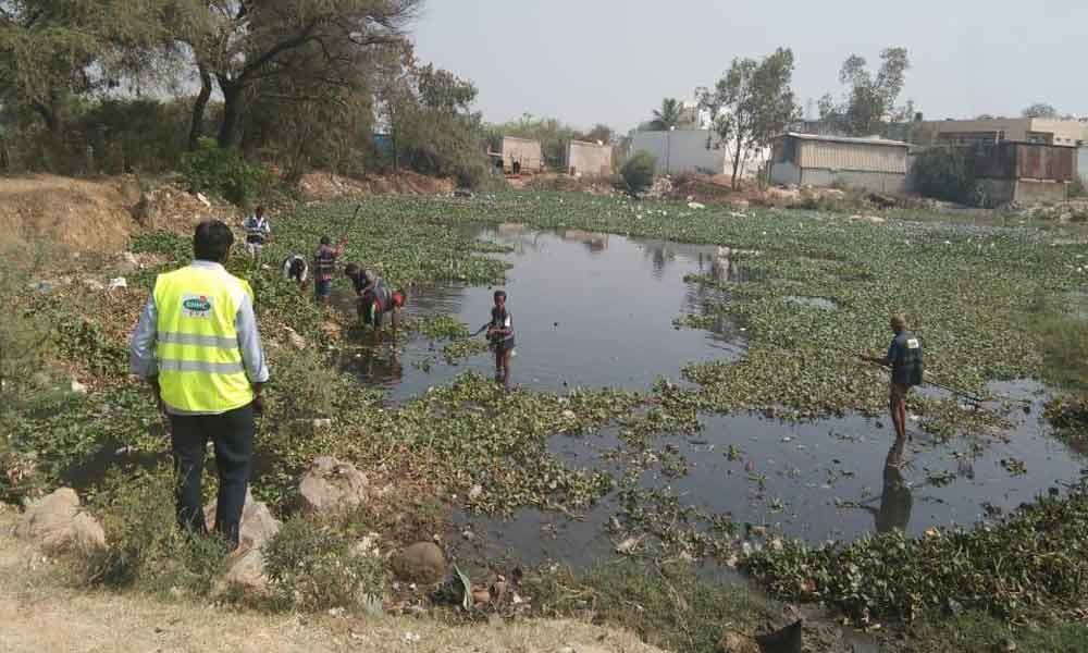 Cleansing of Suraram lake gaining pace