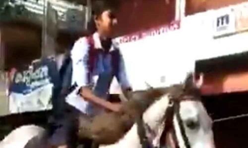 Kerala girl rides a horse to school for a special reason; video goes viral