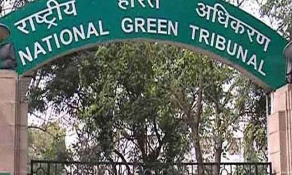 NGT directs SDMC to submit a report on illegal encroachments at Samalkha Extension