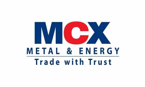 MCX futures turnover up 22% at `65.91L cr