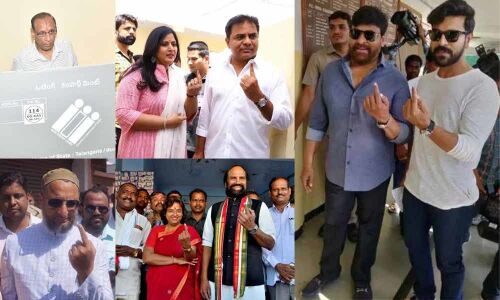 Politicos, celebs cast their votes across State