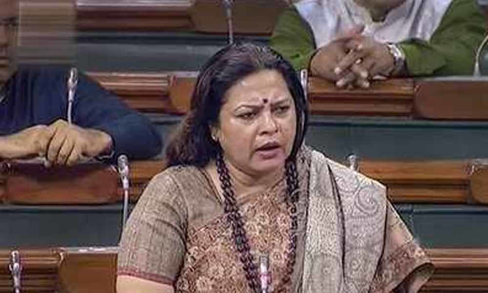 BJP MP moves SC against Rahuls remarks on Rafale, hearing on April 15