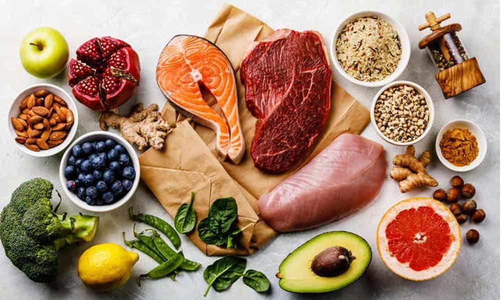 Is Animal based Protein A Good Choice For Health 