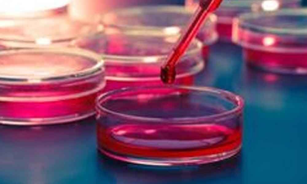 Man with muscular dystrophy moves HC for stem cell therapy
