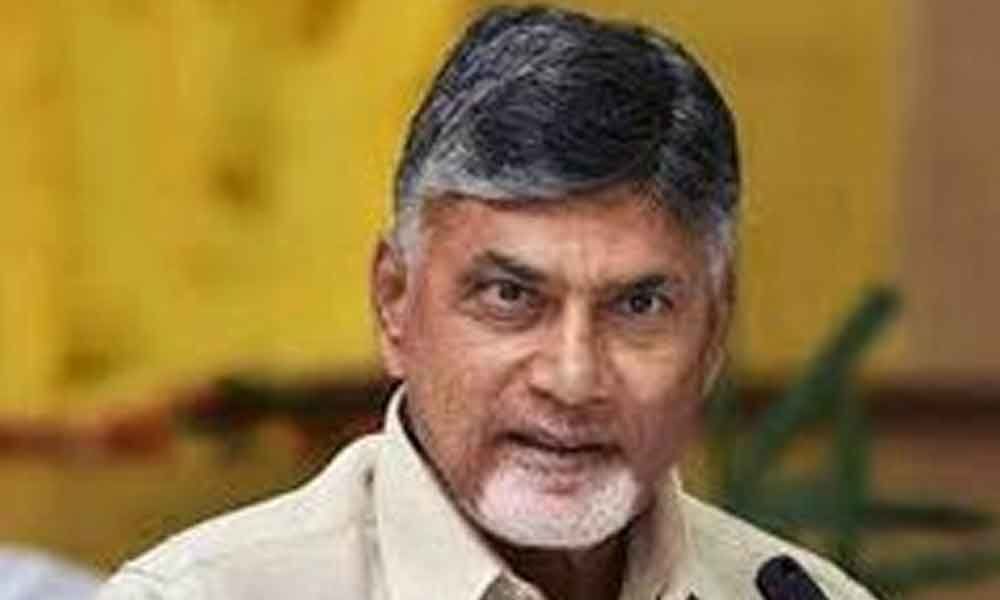 Chandrababu Naidu to campaign in Northern states against bjp