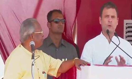 Tamil Nadu should not be ruled from Nagpur: Rahul