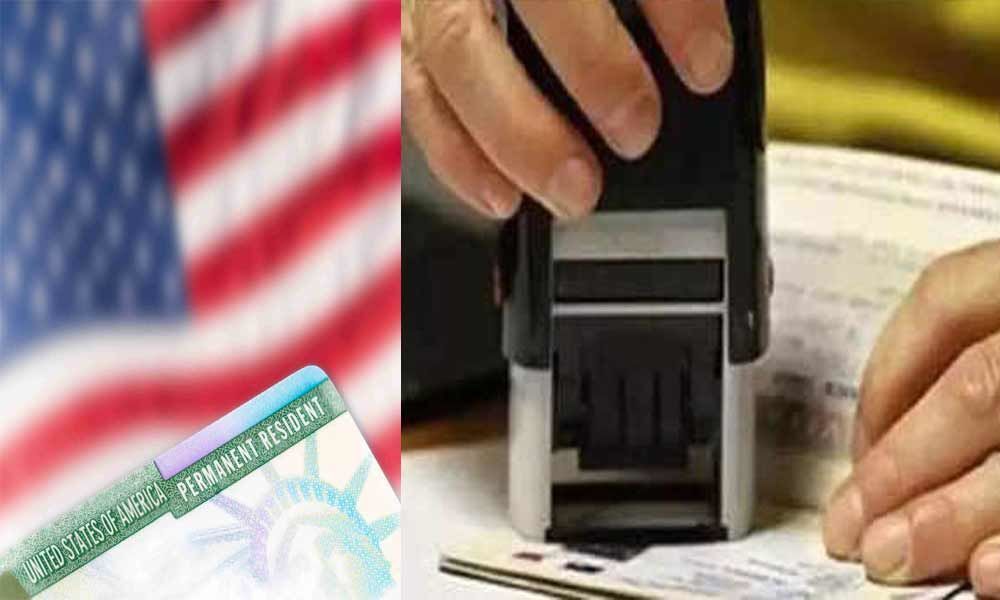 H-1B visa applications increased by 5% over the last year: US