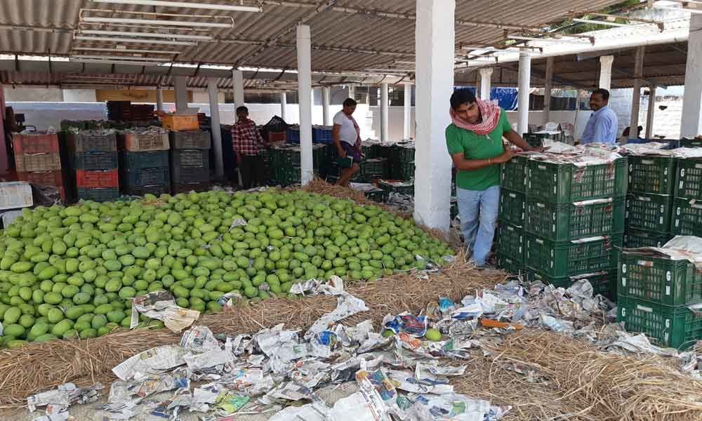 Trading activity declines in Nunna mango market