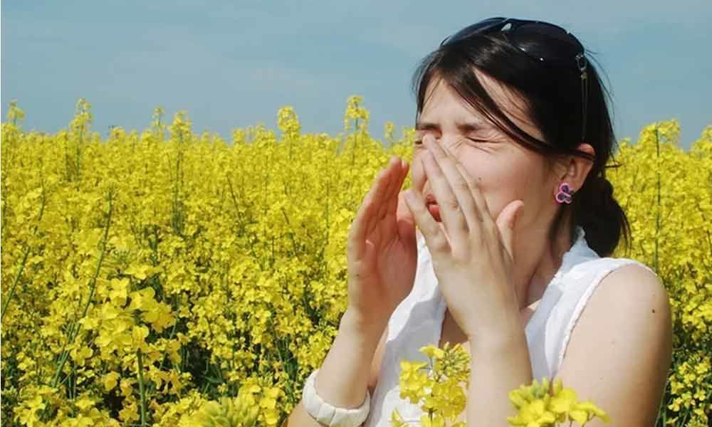 Pollen the major cause of seasonal allergy