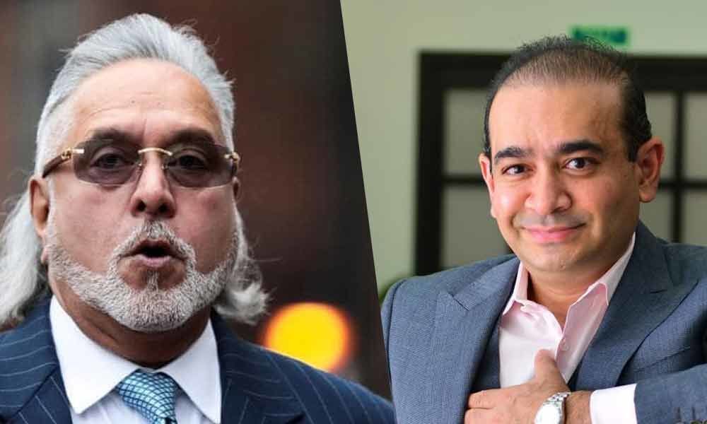 Not only Mallya and Nirav, 36 businessmen fled from country in recent past, ED informs court
