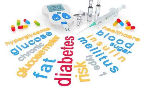 Diabetes India launches the 1000 Days Initiative