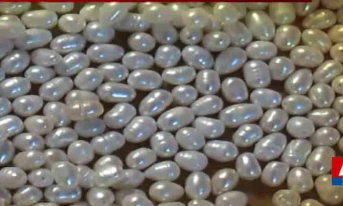 Grand procession of Pearl Thalambralu held in Tirupati