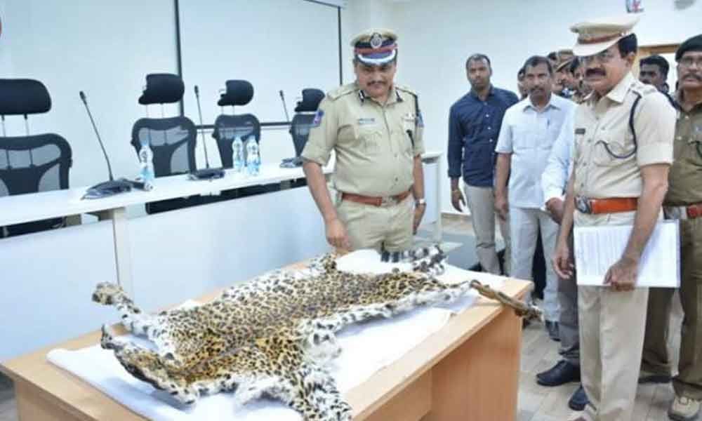 Skin Of Poached Leopard Seized, Four Arrested In Hyderabad