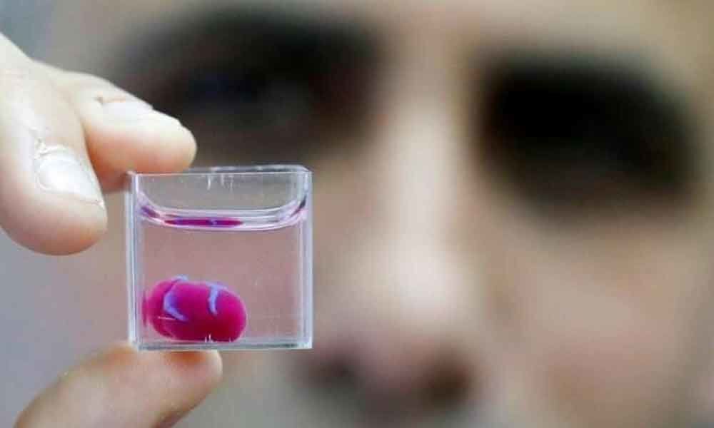Medical breakthrough: First 3D print of heart with human tissues