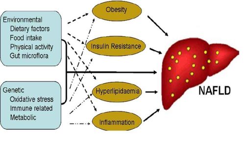 New epidemic in the new millennium