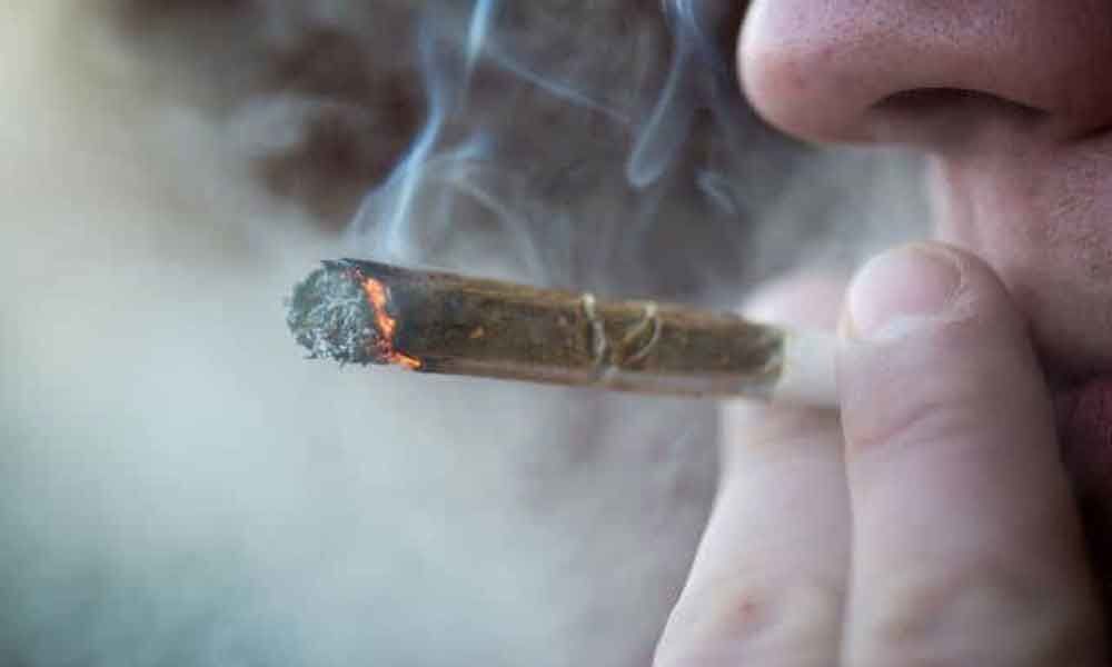 Heavy pot smokers may need higher dosage for sedation