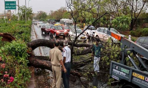 Squall death toll rises to 20 in Madhya Pradesh