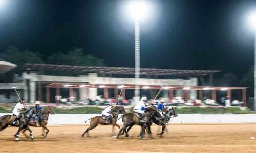 Warriors pip Tigers to emerge champions