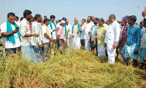 Government failed in regularising land records: Kisan Congress