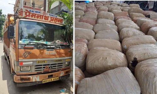 DRI officials seize `1.68 cr worth ganja