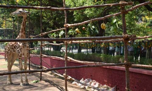 Zoo park to have new, large bird enclosure