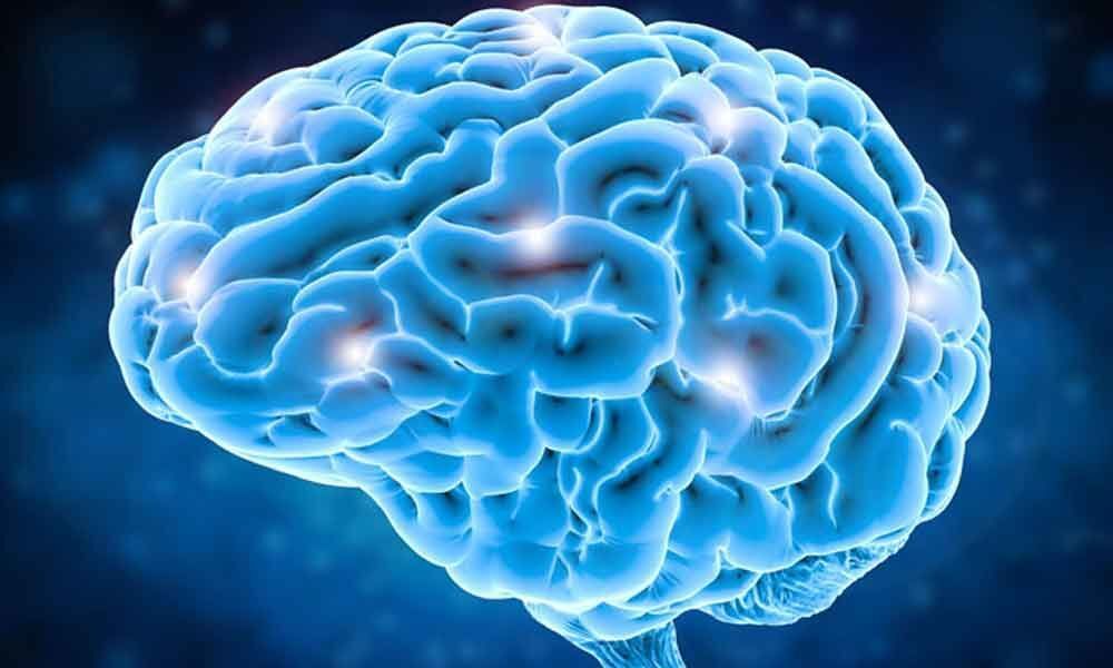 Moral decisions linked to brain activity: Study