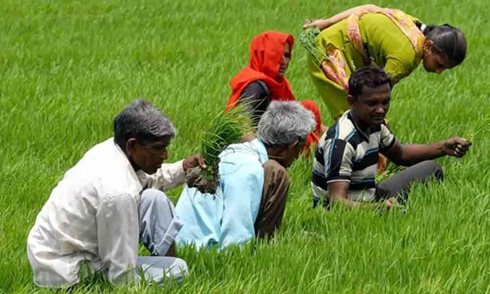 CPM demands withdrawal of cases filed against paddy farmers