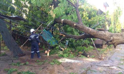 Thundershowers, gusty winds forecast