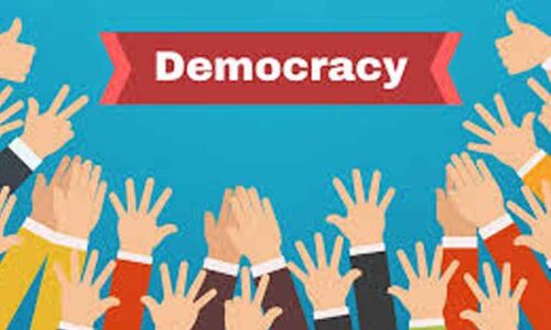 Many shades of democracy