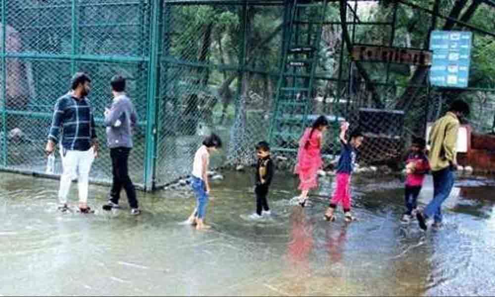 Rain claims one life in Nehru Zoological Park