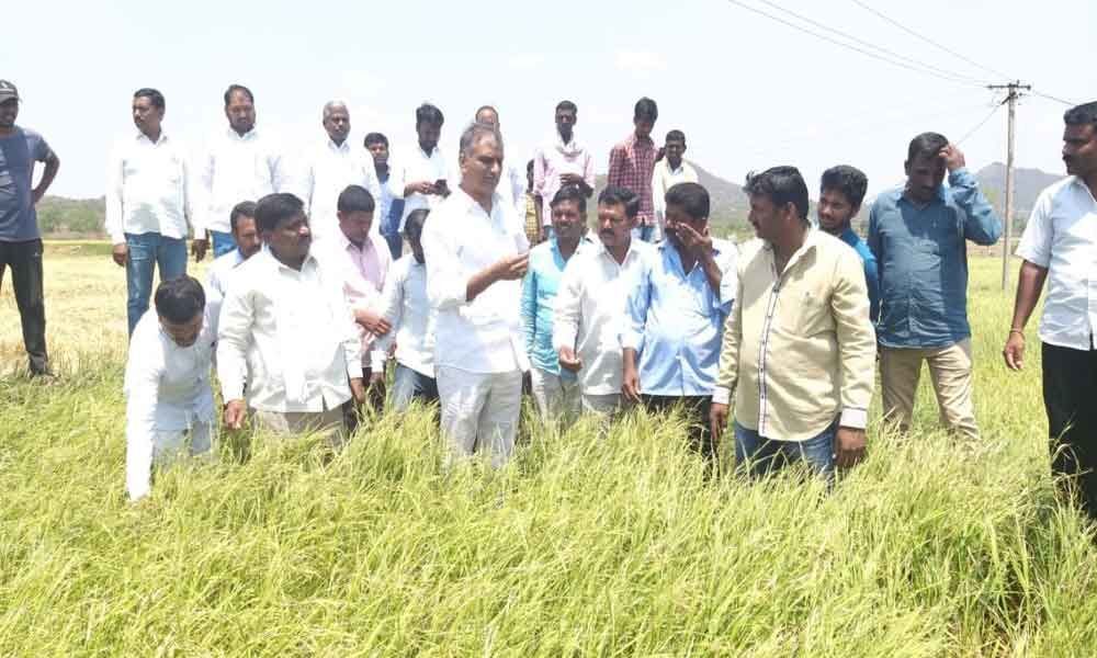 Harish assures farmers of compensation