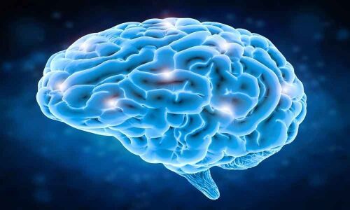 Moral decisions linked to brain activity: Study