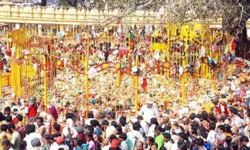 Medaram Jatara to be held in Feb 2020