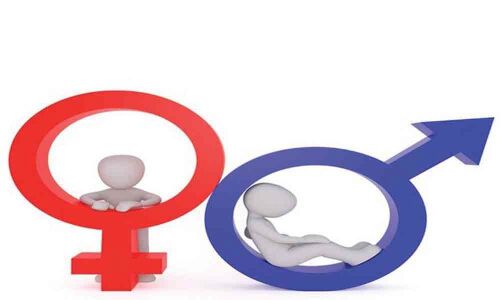 Gender stereotypes leave imprint on human brains