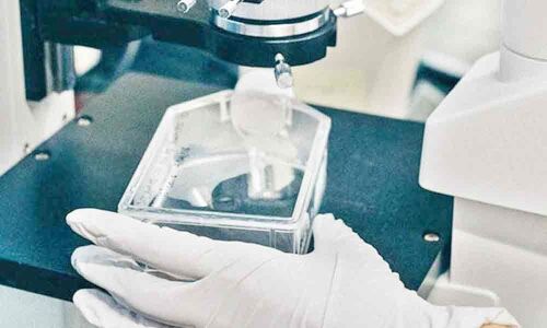 Special kits to States, UTs to help probe sexual assault cases