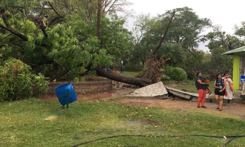 Restoration works in full swing at zoo