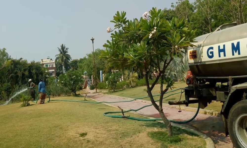 Efforts on to sustain greenery in summer