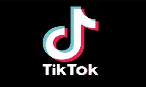 TikToks fate to be decided, Supreme Court directs Madras High Court to hear plea on Apr 24