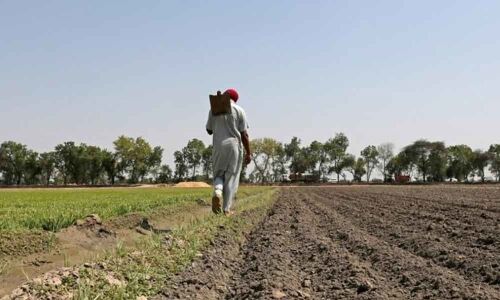 Farmers should get their fair share