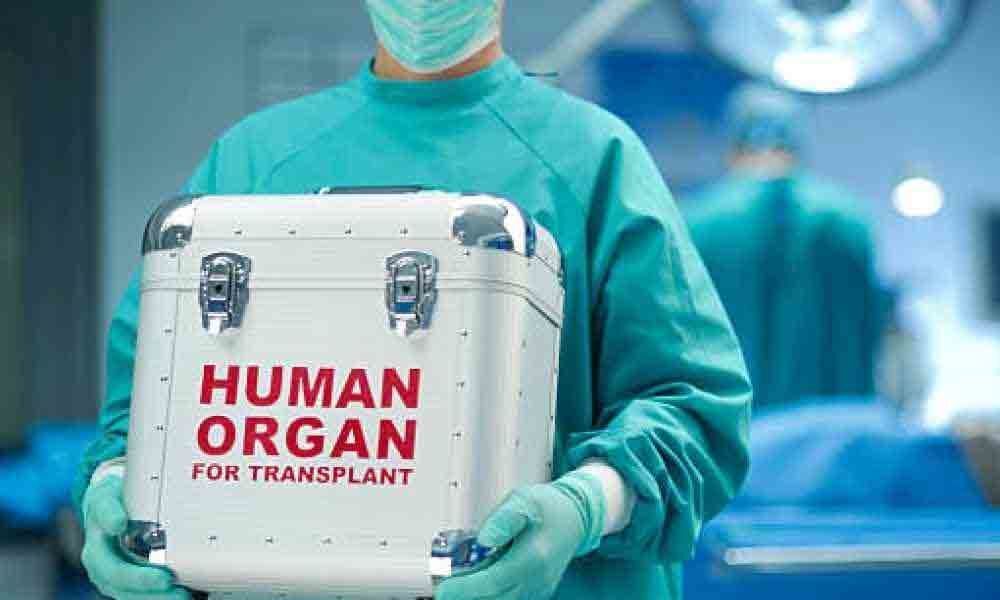 Woman forced to donate husbands organs in Nellore