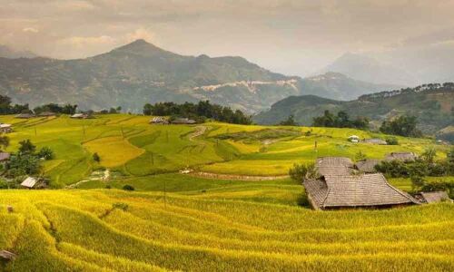 98 per cent Indians will prefer sustainable stays in next 1 year