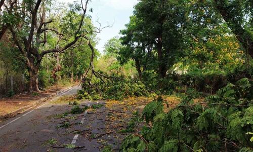 Osmania University campus bears brunt of natures fury