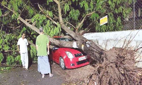 Rains, gales wreak havoc in Cantonment