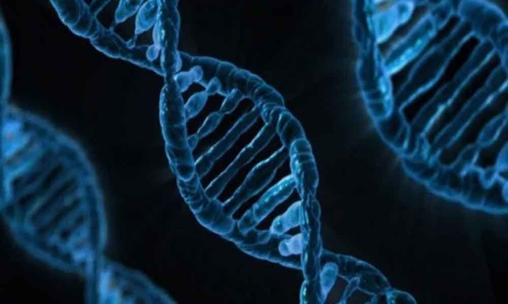 Researches find how lifestyle affects genes