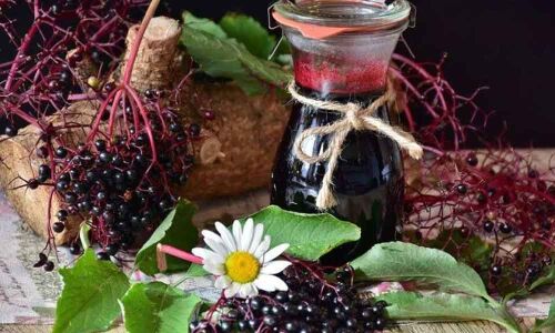 Consumption of elderberries essential to counter influenza