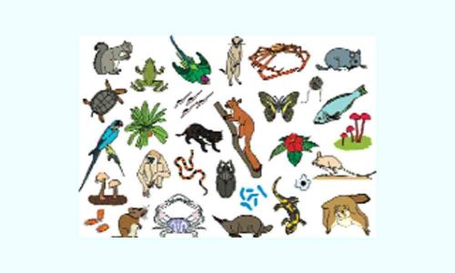 Extinction threat looms large over earth