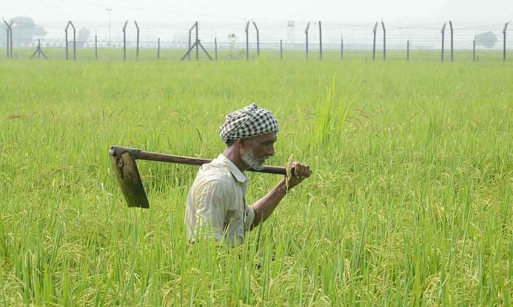 Activists Seek Centres Intervention In Pepsicos Case Against Farmers