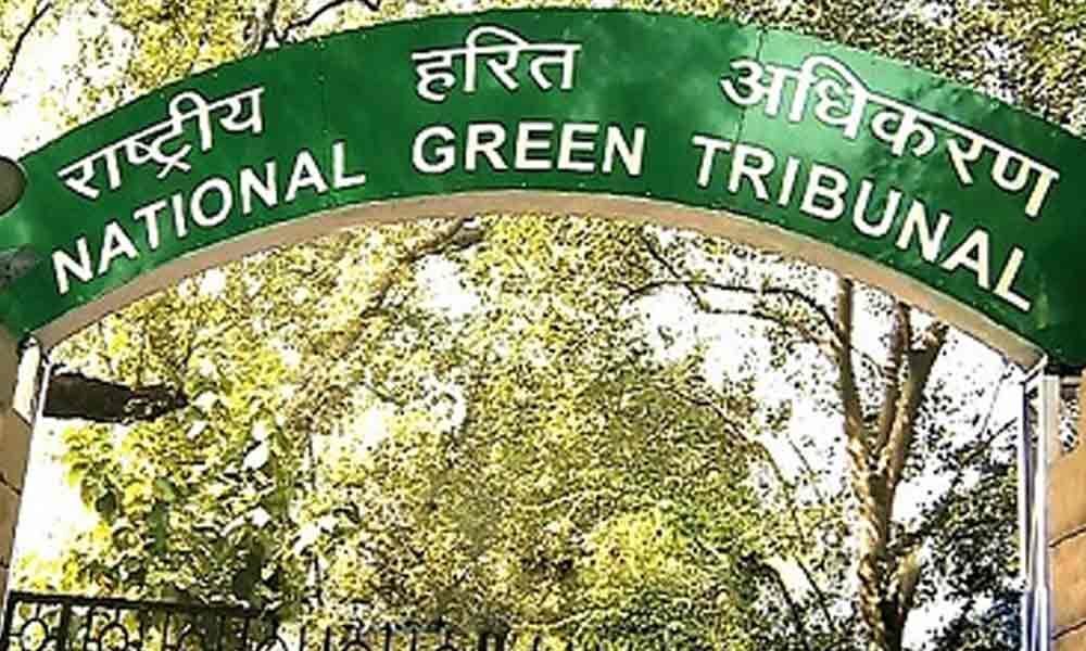 NGT directs civic body not to dump solid waste near school